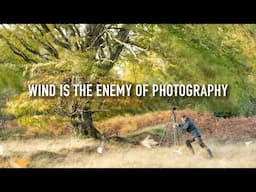 Is Wind The Enemy of Landscape Photography?