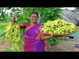 Couseberry Thokku Recipe | Village Style Pickle Making | Side Dish For Curd Rice | Side Dish Recipes