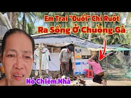 Kỳ lạ em trai "đẩy" chính chị ruột của mình vào đường cùng phải "kết thúc cuộc đời" ở chuồng gà