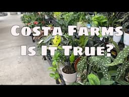 Is it true Costa Farms Trending Tropicals? Possible News! / Foop Organic Indoor Houseplant Spray