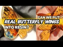 Stunning! Real Butterfly Princess Wings In Resin Pendants @theresinerspourhouse