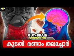 കുടലും തലച്ചോറും🦠🧠 Gut-Brain Connection: How Your Diet Influences Your Mental Health