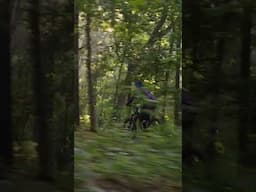 Arkansas Jungle #mtb #mountainbike  #asmr