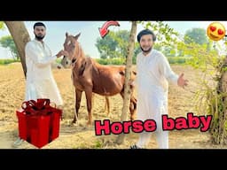 Horse ny hum par Attack kar diya 😢😭