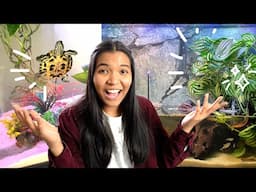 reacting to my subscribers' PLANTED turtle tanks (naturalistic edition 🌱)