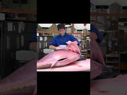 GIANT BLUEFIN Cutting Master!