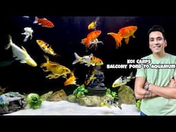 *Transferring Koi Craps & Arowana from balcony pond to 5 feet Aquarium* Indian Aqua Boy4 Vlog