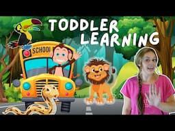 Learn Animal Names & Sounds + Jungle Animal Dance Along Songs! Toddler Learning Videos Miss Katie