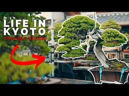 Niwaki Hunting in Osaka | Life in Kyoto | Ep. 7