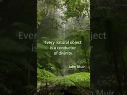 "Every natural object is a conductor of divinity."