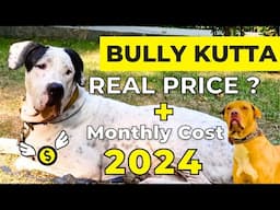 Bully Kutta Price In India 2024 | Price of Bully kutta and Monthly Expenses | Indian Mastiff