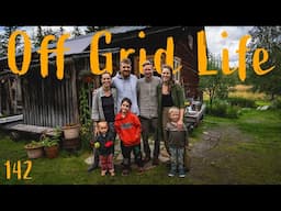 Cabin Life Off the Grid in Sweden | New friends and Building Projects