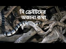 চলুন পরিচয় করি এক সি ক্রেটের সঙ্গে