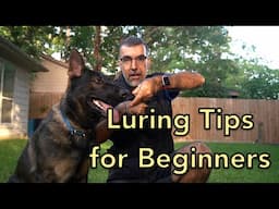 Luring Tips For Beginners