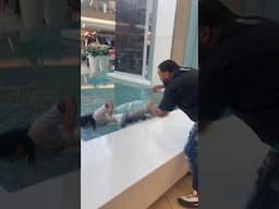 UN DIA EN EL MALL DE SAN JUAN #funny #humor #viralvideo #comedy #prankvideo