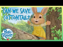 @OfficialPeterRabbit - 🥺🐰 Can We Save Cottontail! 🐰🥺 | Best Bits! | Cartoon for Kids