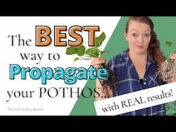 How to Propagate Pothos in Soil or Perlite (+ Bonus Tips!)