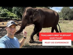 Best Elephant Sanctuary Experience | What To Do in North Thailand | Chiang Mai Thailand Vlog