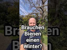 Frage: Brauchen Bienen einen Winter? Antwort im Video #imkern #bienen #natur #honigbiene