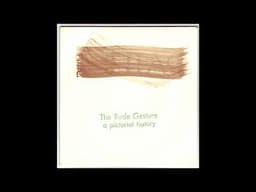 Shellac-The Rude Gesture A pictorial History (7")