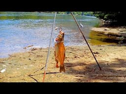 Trail Camera: What Happens to a Dead Fish Along a Riverbank?