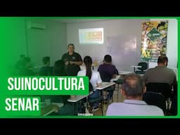 Curso de suinocultura tecnificada