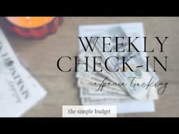 weekly check in | expense tracking | what i bought this week | zero based budgeting | family budget