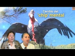 El enemigo que nunca fue: cóndor andino | Cambio del ‘chip’ mental