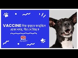 Vaccine দিয়া কুকুৰে কামুৰিলে একো নহয়, সঁচা নে মিছা ? | The Eco Hour | RJ Pallavi | Episode 17 |