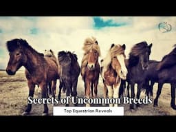 Top Equestrian Reveals Secrets of Uncommon Breeds