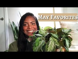 Top 5 Plant Favorites | Plant Favorites for the Month of May 2022