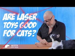 Are Lasers Good Cat Toys?