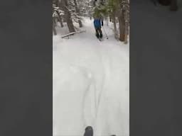 Skiing the Glades off of Peak 6 at Breckinridge Ski Resort Colorado