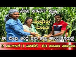 ಬೇಬಿ ಕಾರ್ನ್ ಕೃಷಿ ಎಕರೆಗೆ 60 ಸಾವಿರ ಆದಾಯ|Baby corn farming in kannada|Baby corn farming|Baby corn|