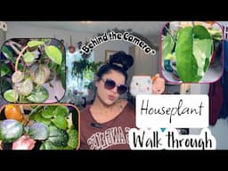 Fall Planty Walkthrough 🌱🧡 2024 *SO MUCH HAPPENING* !!!!!!