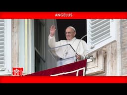 Angelus17 de novembro de 2024 - Papa Francisco