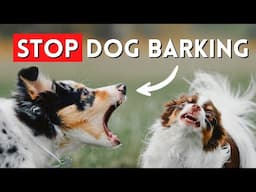 How To Stop Dog Barking- FAST (Easy To Understand Tips)