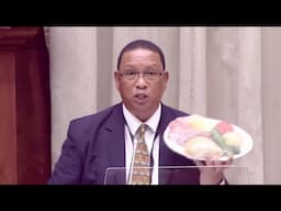 Drama: DA member bring Food to Parliament Debate.