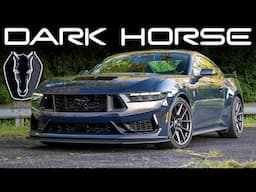 Living With A $80,000 Ford Mustang Dark Horse!!