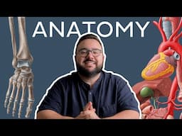 How to study Human anatomy: All you need to know | Kenhub