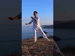 Cloud Hands Tai Chi - #shorts #taichi