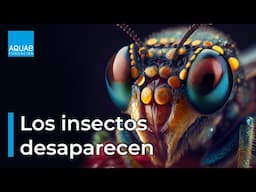 Los INSECTOS están DESAPARECIENDO del PLANETA | Mónica Fernández-Aceytuno