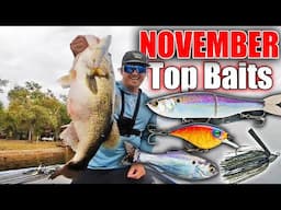 DON'T go Fishing in November without THESE Baits!! (Top 5 Baits November)