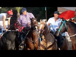 Carreras de Caballos Rancho El Bellotoso 10 de Noviembre 2024