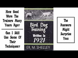 Bird Dog Training From 100 Years Ago