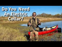 Do You Need An Electric Collar To Train Your Dog For Off Leash Adventures?