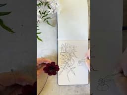 Sketching flowers with fun lettering - Sketchbook Art