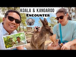 Koala and Kangaroo Encounter in Australia