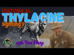 Tasmanian Thylacine sightings, taken by Ned Terry,  farmer/Thylacine researcher 70's, 80's & 90's.