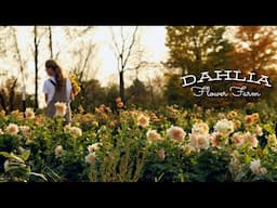 Tips from a Dahlia Farmer & a Tour of Fleur Farm